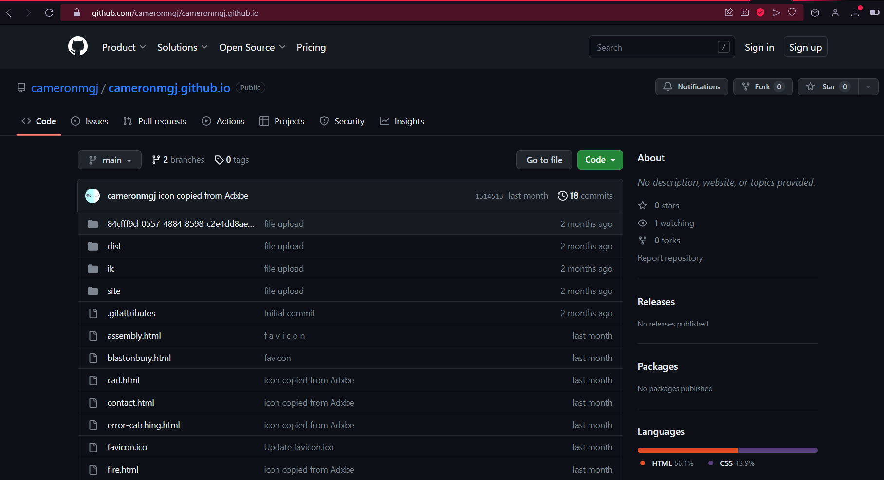 Github Web