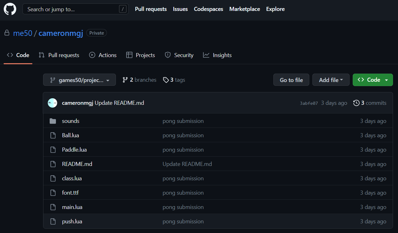 github branch